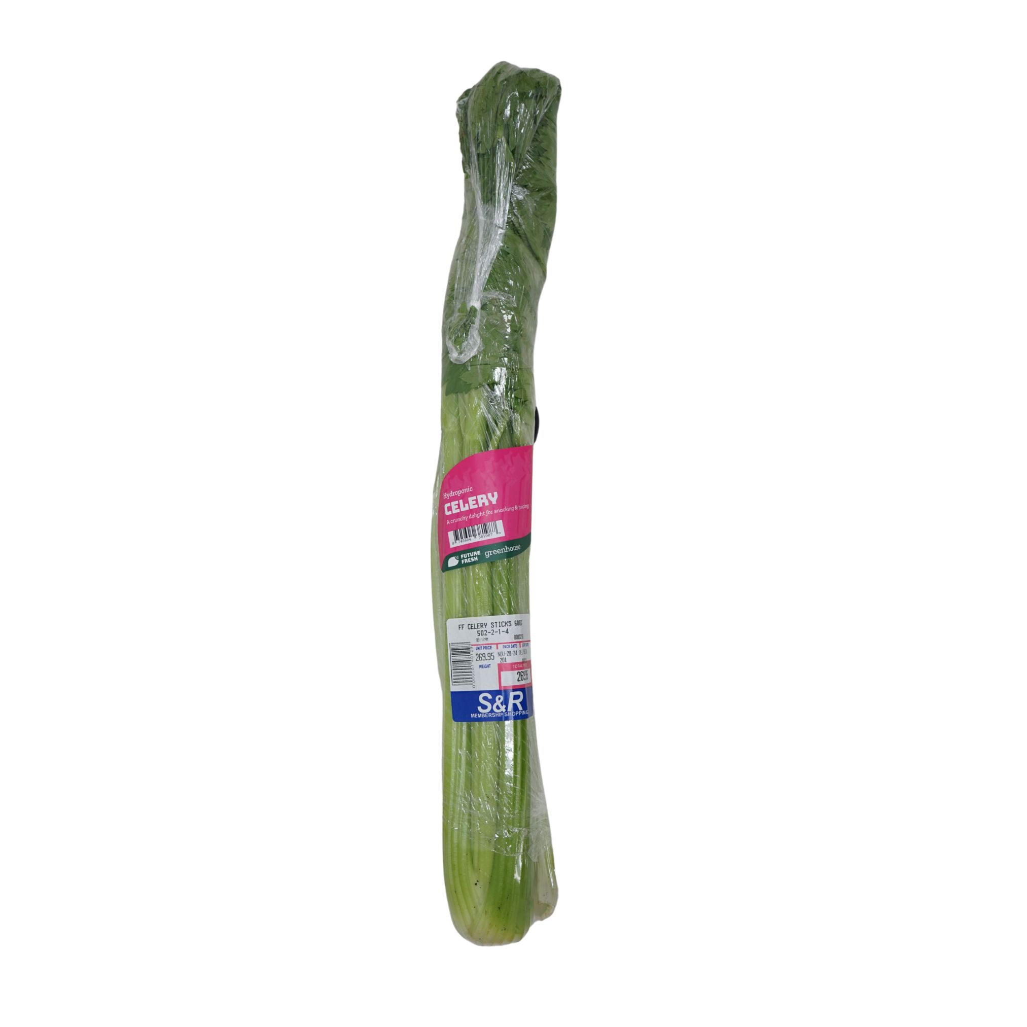Future Fresh Celery Sticks 600g